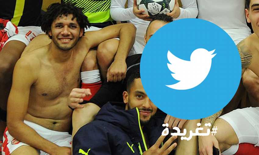 تغريدة 