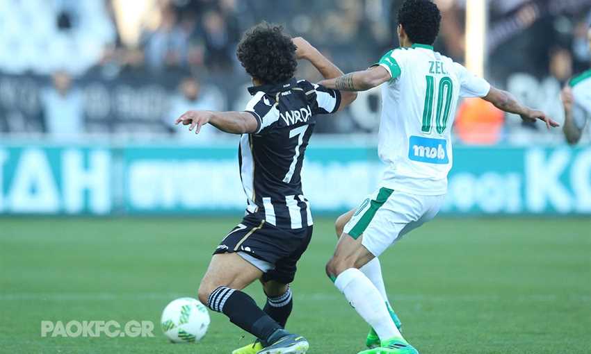 عمرو وردة