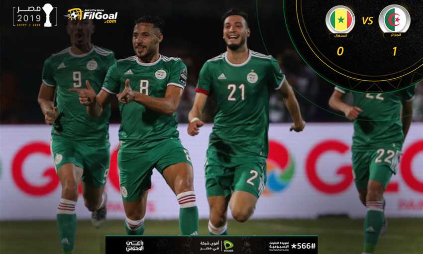 الجزائر - السنغال