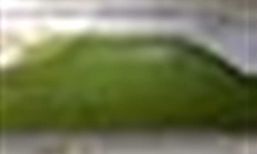 The Allianz Arena