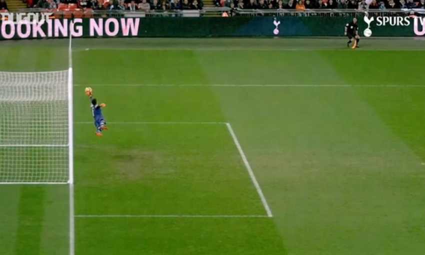 أفضل تصديات هوجو لوريس مع توتنام بعد وصوله للمشاركة رقم 300